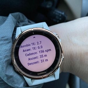 Garmin Fenix 5S Plus Sapphire